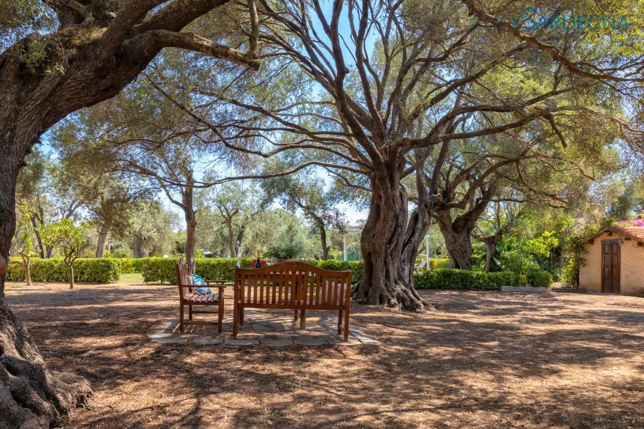 Villa Christiana Villa Del XV Secolo Con Piscina Ad Uso Esclusivo Alghero Exterior foto